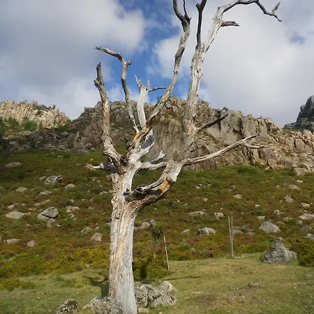Bauernhof Casa De Dentro - Capitao Mor Ruivãis